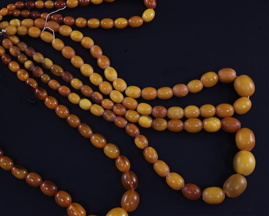 Four single strand graduated oval yellow amber bead necklaces, 21in et infra.